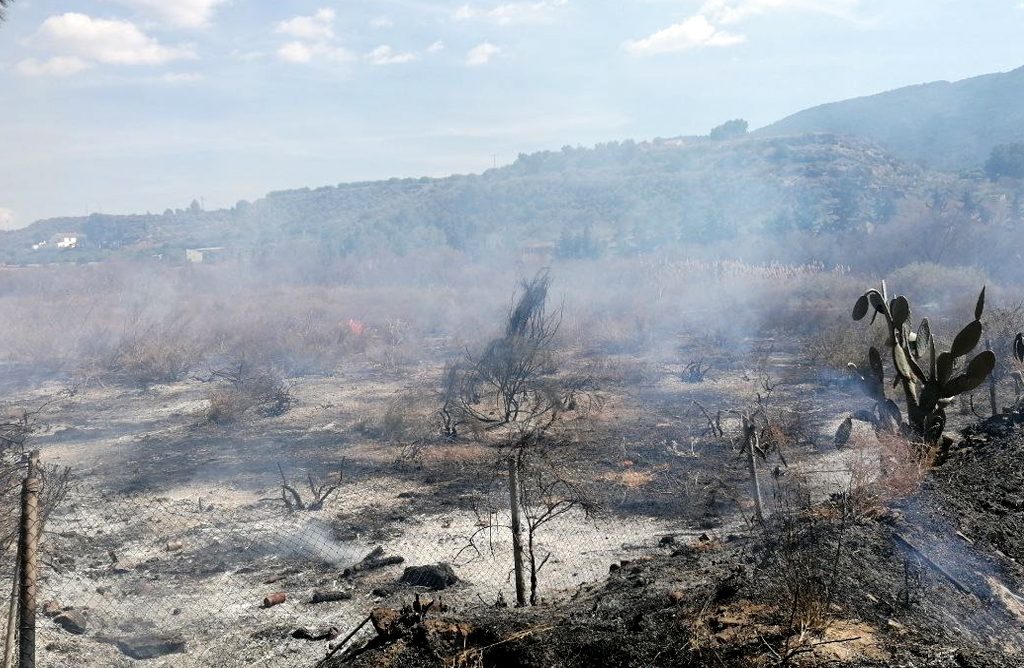 Se incendia un terreno agrcola abandonado en Alhama de Murcia